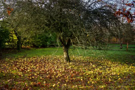 5fb581a2 53a1 4318 834f 87a5ef1ce5a0.jpg