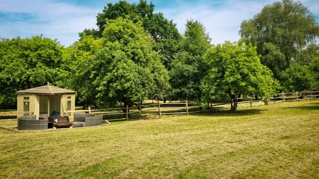 787cf3cb 0ff2 4823 8b18 06bfc9f191c2.jpg