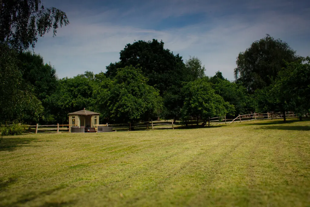 7ffbf4bc f25a 4fdd a83d e64d952bd290.jpg