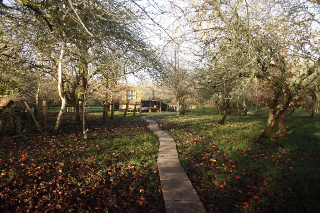 86d8d0dc fdeb 4424 ba5b f4866602d9ad.jpg