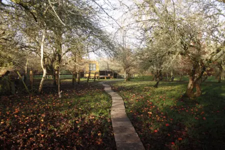 86d8d0dc fdeb 4424 ba5b f4866602d9ad.jpg