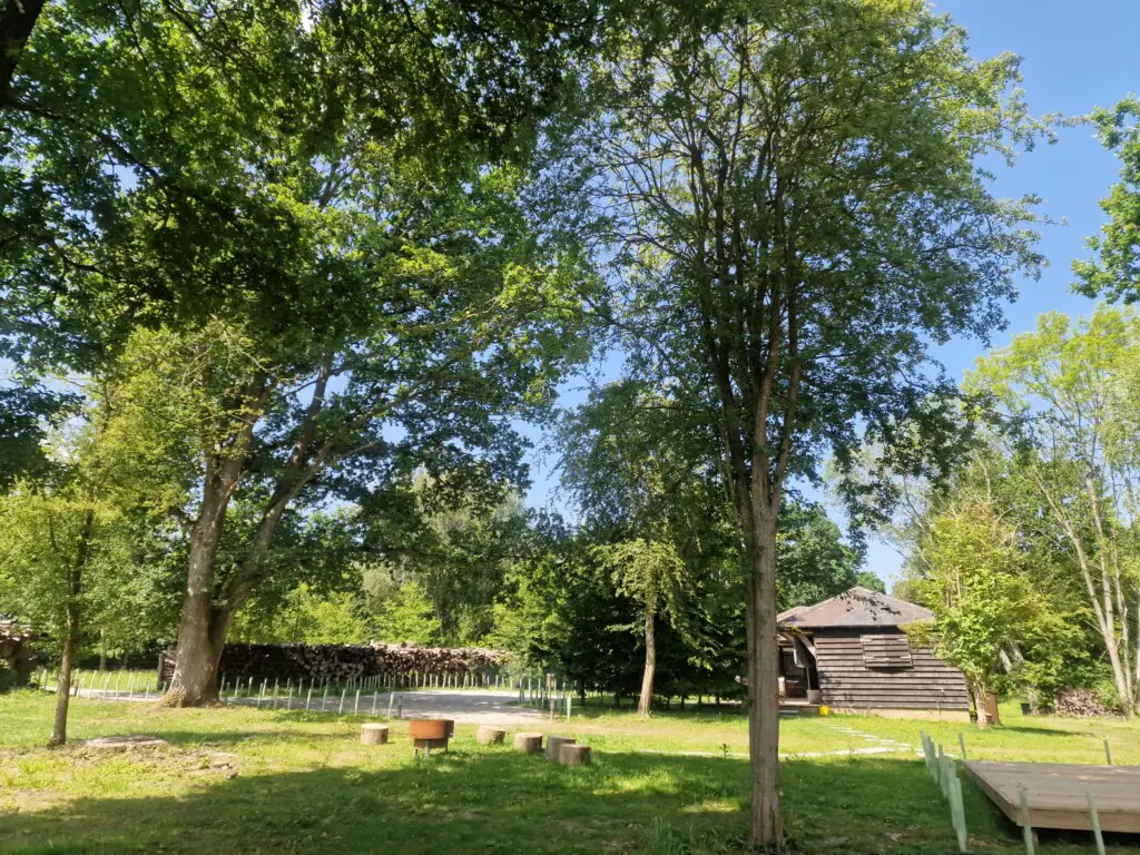 98b35cab f218 4142 8711 65bce0a0ef17.jpg