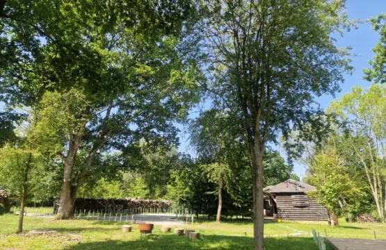 98b35cab f218 4142 8711 65bce0a0ef17.jpg