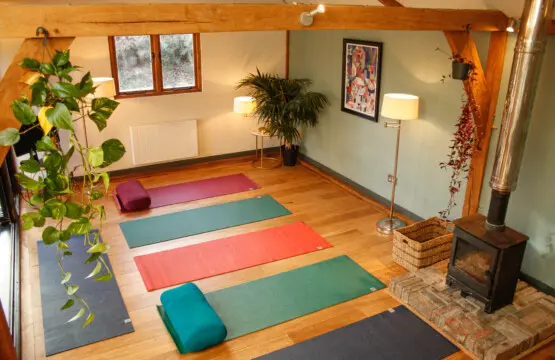 adc1de23 01bf 4545 9511 1402cc0de2bd.jpg