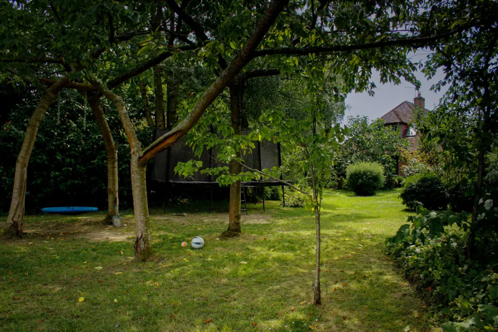 bde51585 6467 4669 9494 16400d796d02.jpg