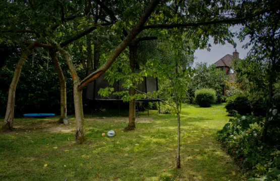 bde51585 6467 4669 9494 16400d796d02.jpg