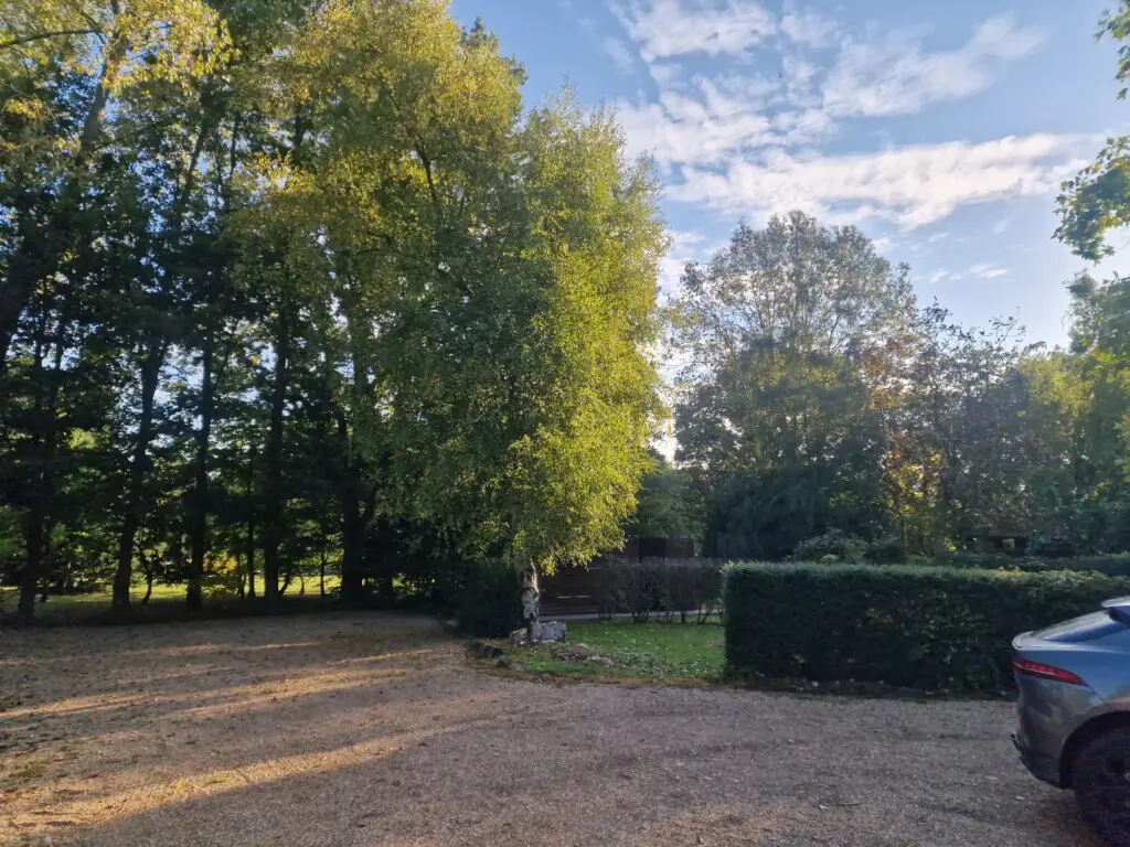 c4b53afc 46fb 4f0e 89af 3ff5e96bbe59.jpg