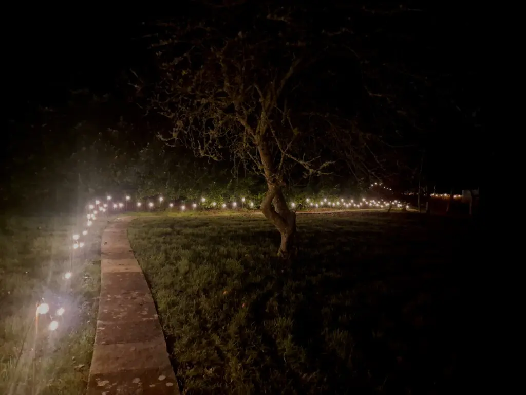 c77e0bc3 0140 47c6 8143 601eca288a51.jpg