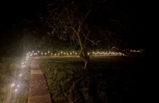 c77e0bc3 0140 47c6 8143 601eca288a51.jpg